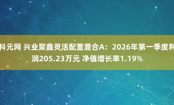 科元网 兴业聚鑫灵活配置混合A：2026年第一季度利润205.23万元 净值增长率1.19%